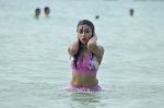 Payal Ghosh (Harika) in Bikini Swimwear Photoshoot on 30th May 2010 (82).JPG